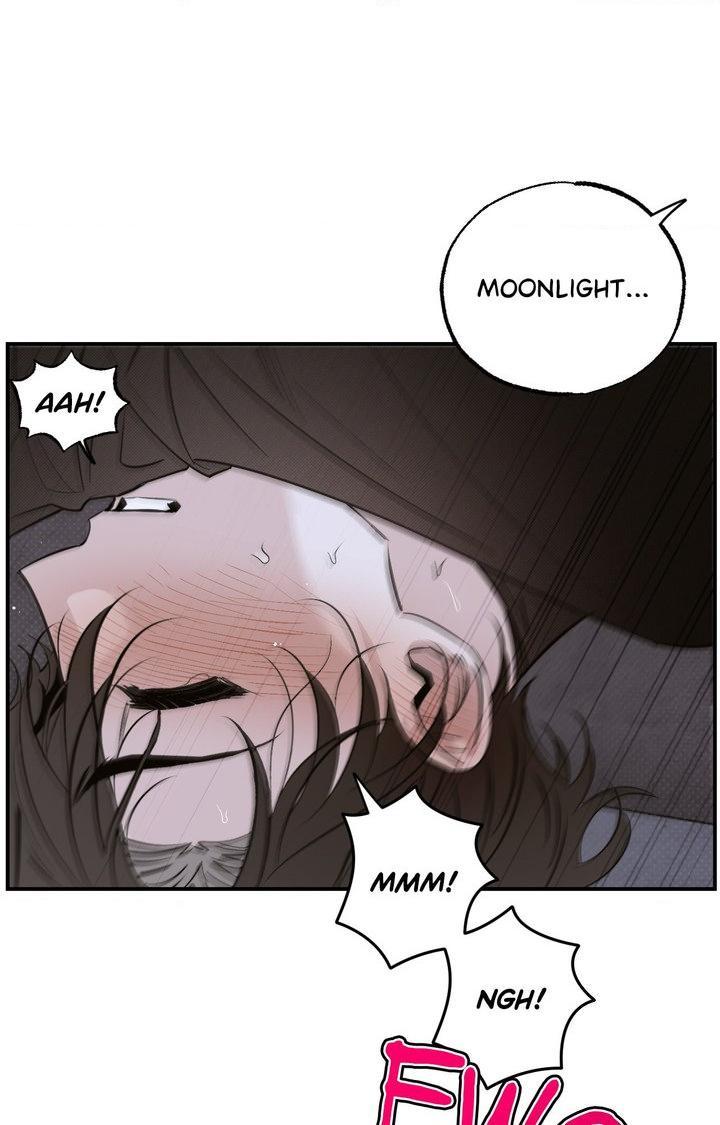 Shadow under the moon Chapter 20.5 page 26 - 