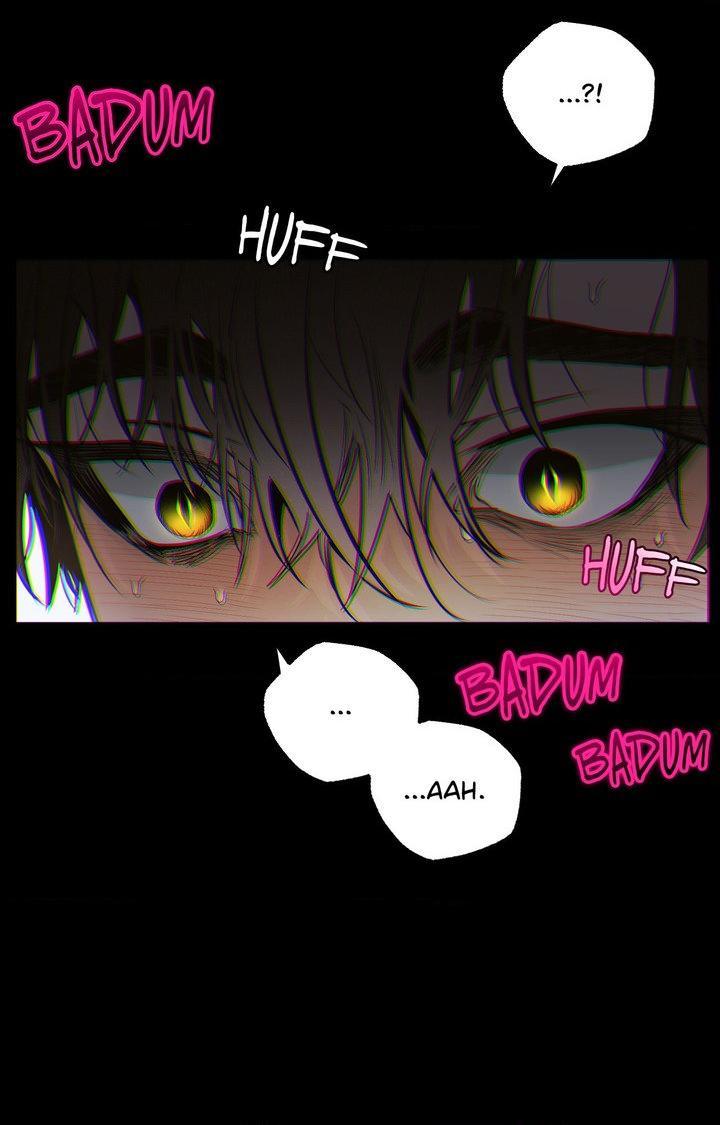 Shadow under the moon Chapter 20.5 page 31 - 