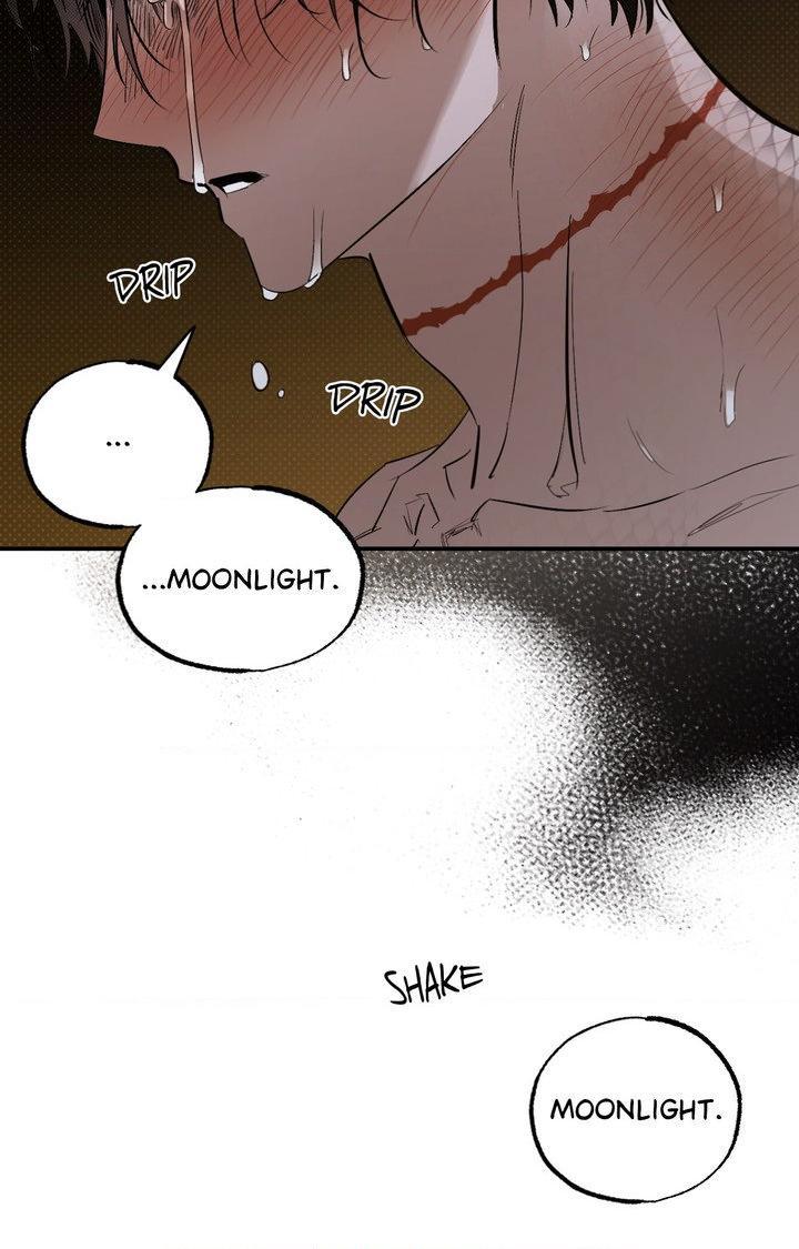 Shadow under the moon Chapter 20.5 page 65 - 