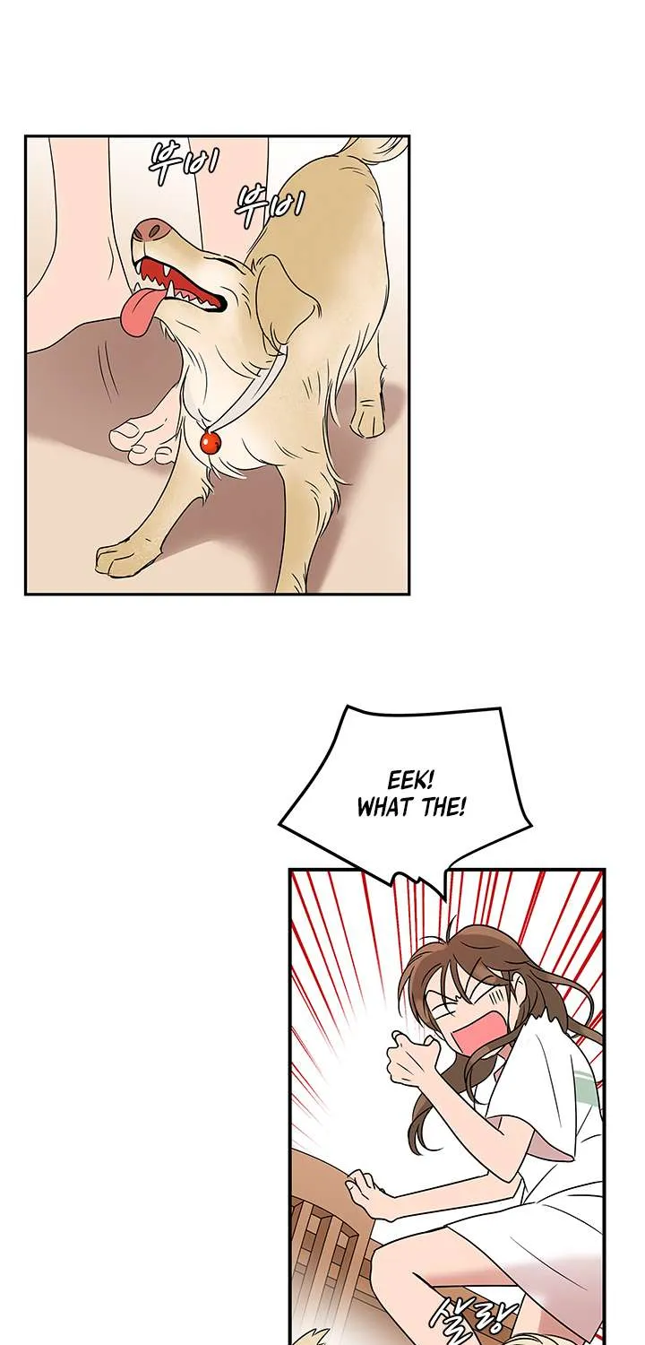 Shaman Girl Chapter 6 page 37 - 