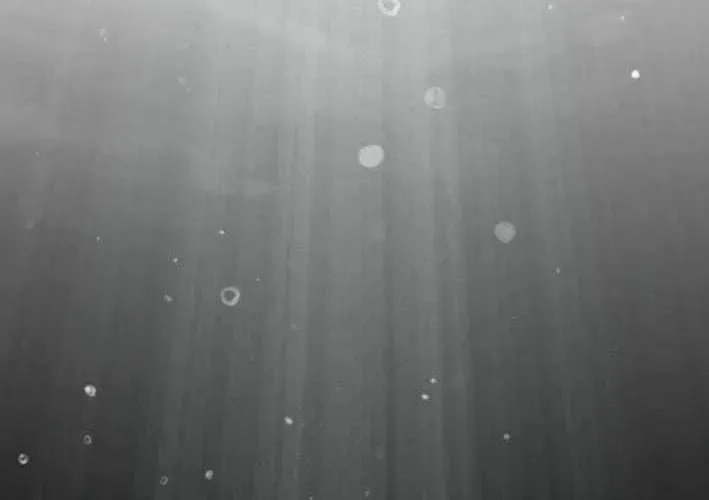 ShaMONEYism Chapter 30 page 18 - 