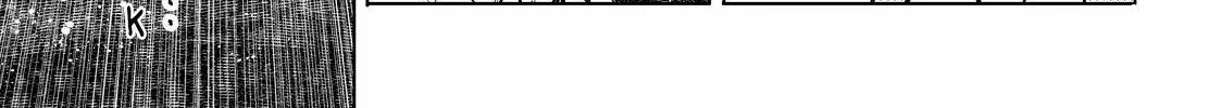 Shangri-La Frontier ~ Kusoge Hunter, Kamige Ni Idoman To Su~ Chapter 43 page 4 - 
