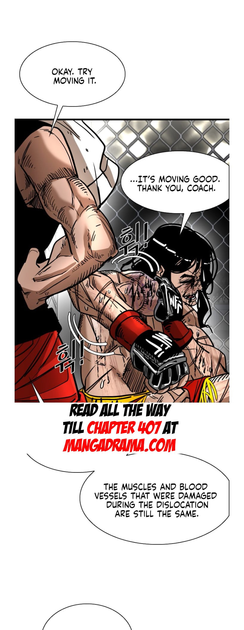 Shark Chapter 290.1 page 49 - 