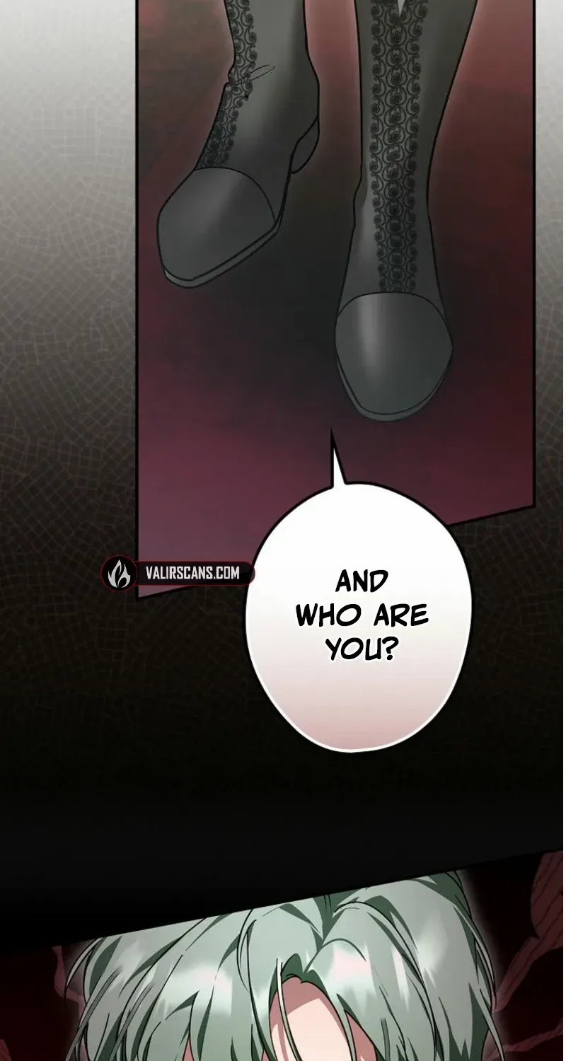 She Is My Mother In Law But I Dont Want Any Conflicts Between us Chapter 27 page 84 - 