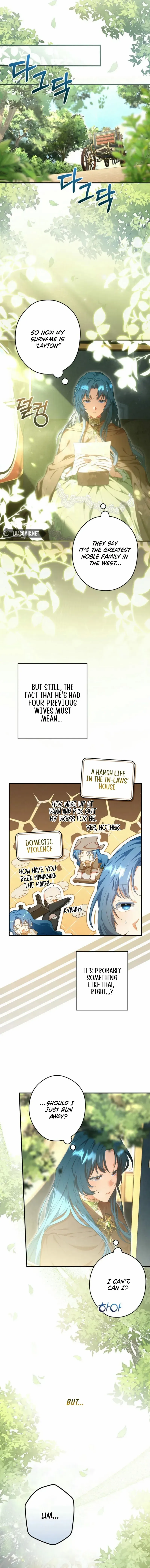 She Is My Mother In Law But I Dont Want Any Conflicts Between us Chapter 31 page 10 - 