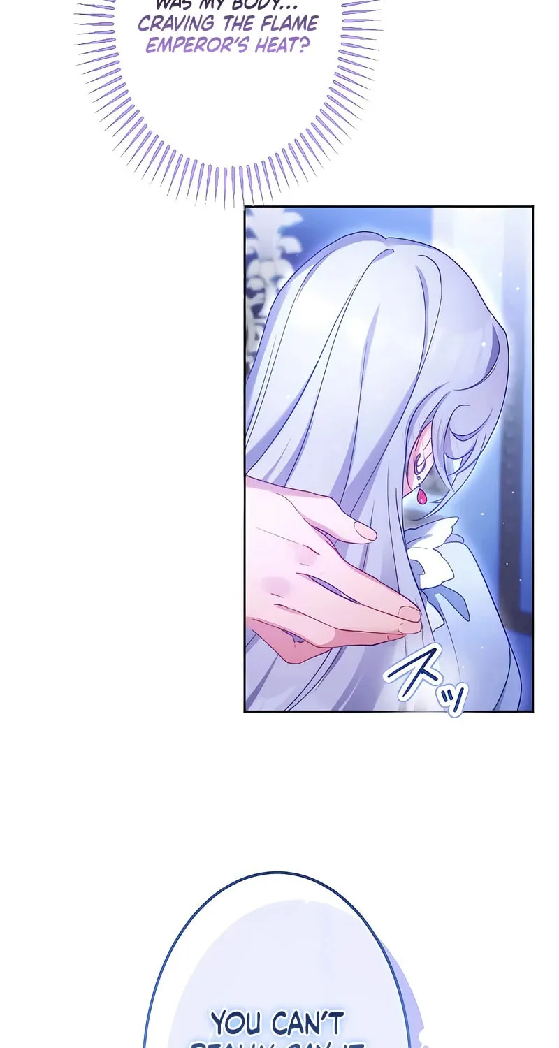She is Obsessed with the Possessive Flame Emperor Chapter 11 page 11 - 