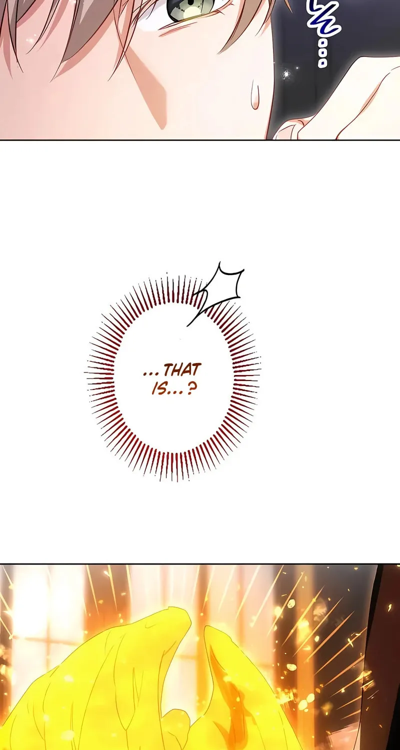 She is Obsessed with the Possessive Flame Emperor Chapter 12 page 85 - 