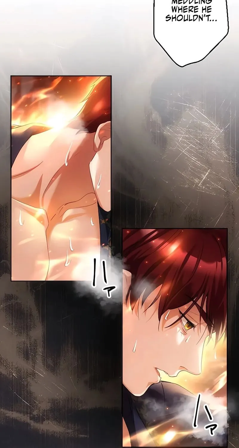 She is Obsessed with the Possessive Flame Emperor Chapter 18 page 25 - 