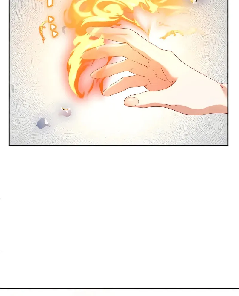 She is Obsessed with the Possessive Flame Emperor Chapter 2 page 9 - 