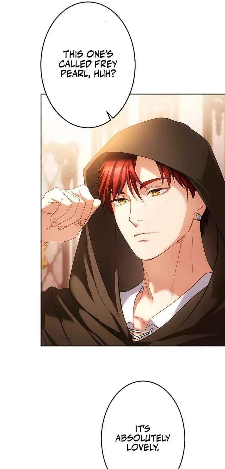 She is Obsessed with the Possessive Flame Emperor Chapter 30 page 45 - 