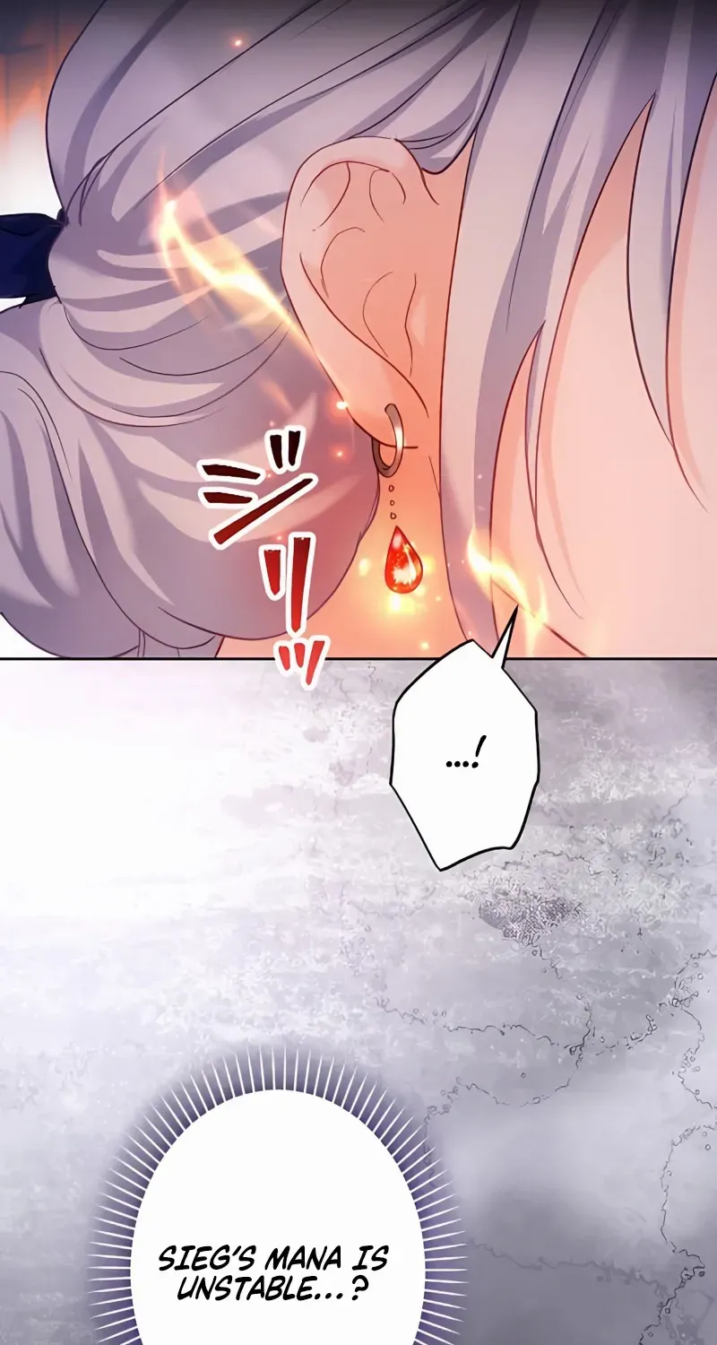 She is Obsessed with the Possessive Flame Emperor Chapter 36 page 1 - 