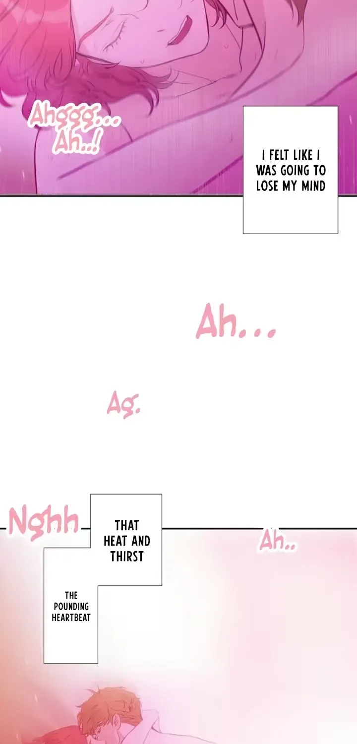 She Is the Best Chapter 1 page 17 - 