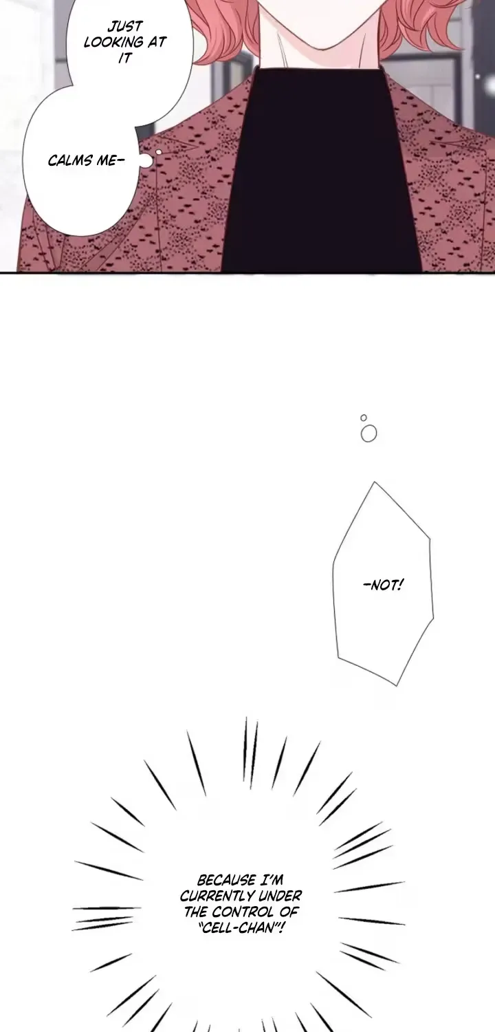 She Is the Best Chapter 11 page 43 - 