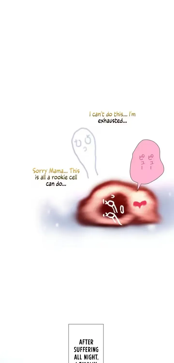 She Is the Best Chapter 11 page 63 - 