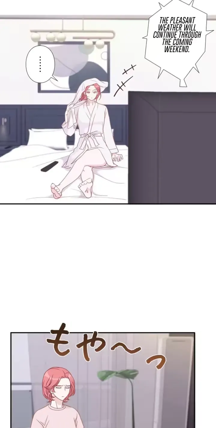 She Is the Best Chapter 17 page 25 - 