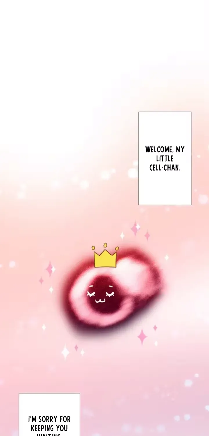She Is the Best Chapter 6 page 44 - 