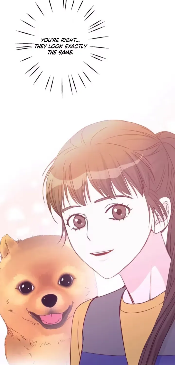 She Is the Best Chapter 8 page 26 - 