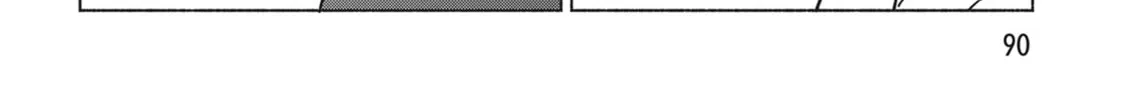 She Professed Herself Pupil of the Wise Man Chapter 76 page 56 - 