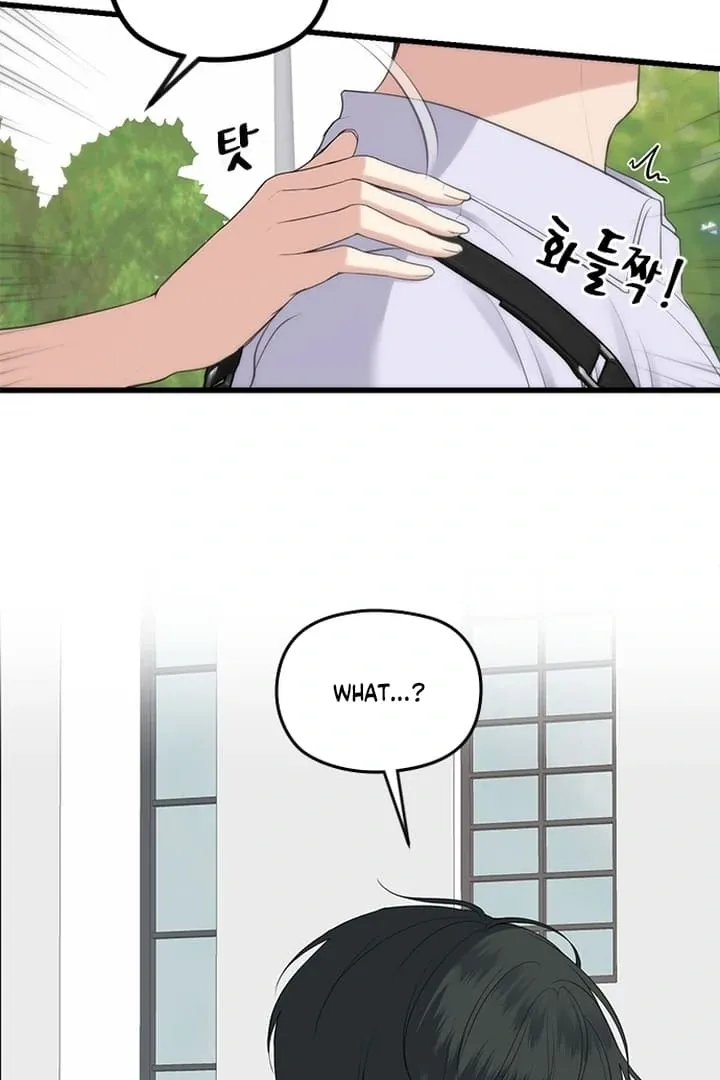 She Was My Revenge Chapter 13 page 5 - 