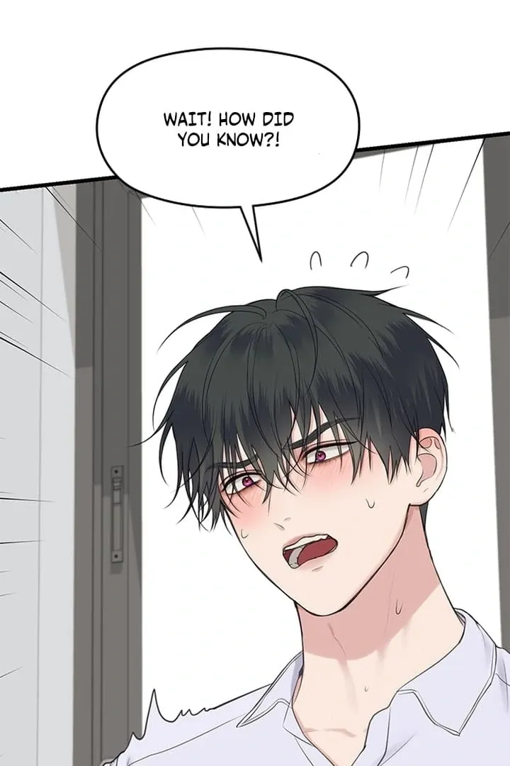 She Was My Revenge Chapter 13 page 43 - 