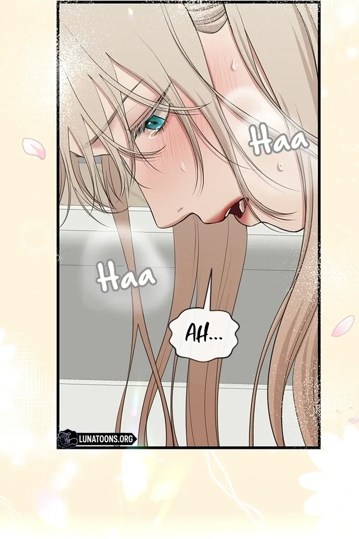 She Was My Revenge Chapter 29 page 57 - 