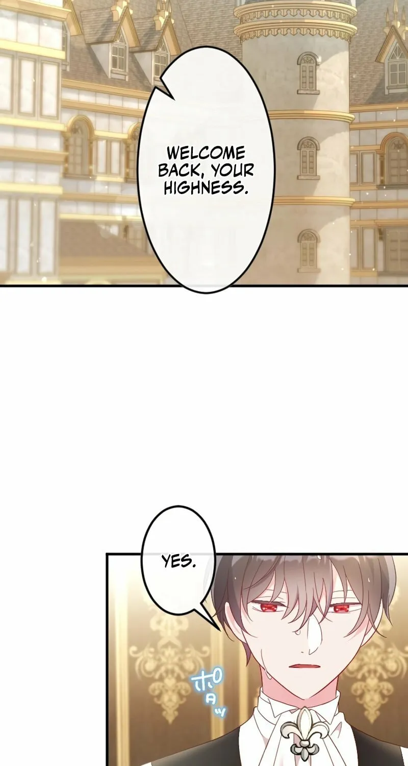 She Was Supposed To Be A Temporary Princess But It Seems She Is Done A Little Too Well Chapter 12 page 74 - 