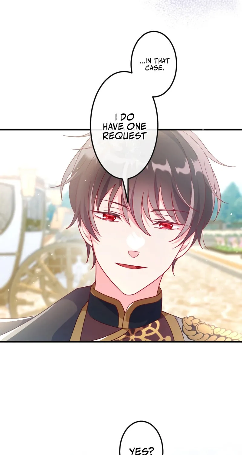 She Was Supposed To Be A Temporary Princess But It Seems She Is Done A Little Too Well Chapter 27 page 9 - 