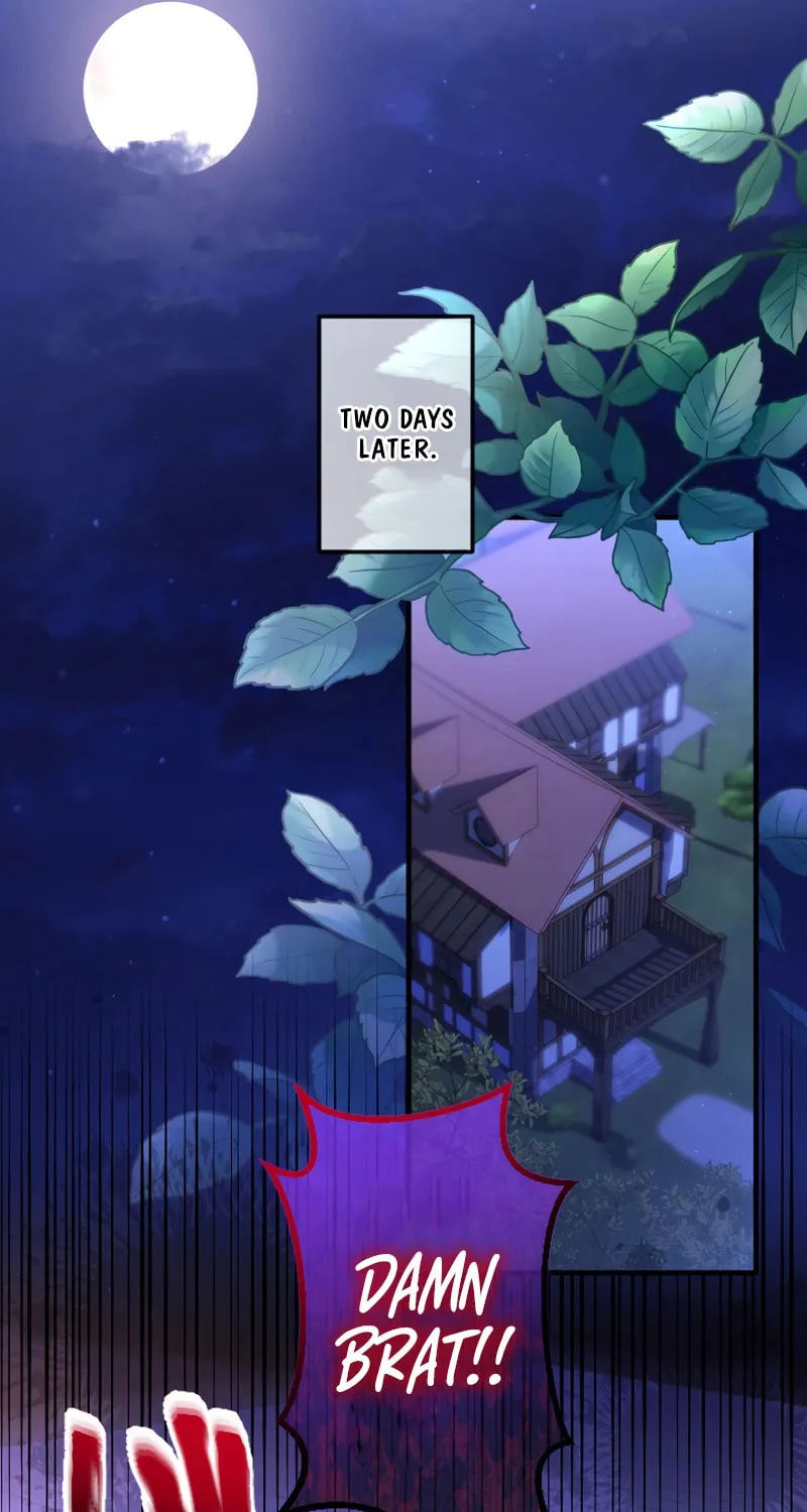 She Was Supposed To Be A Temporary Princess But It Seems She Is Done A Little Too Well Chapter 29 page 65 - 