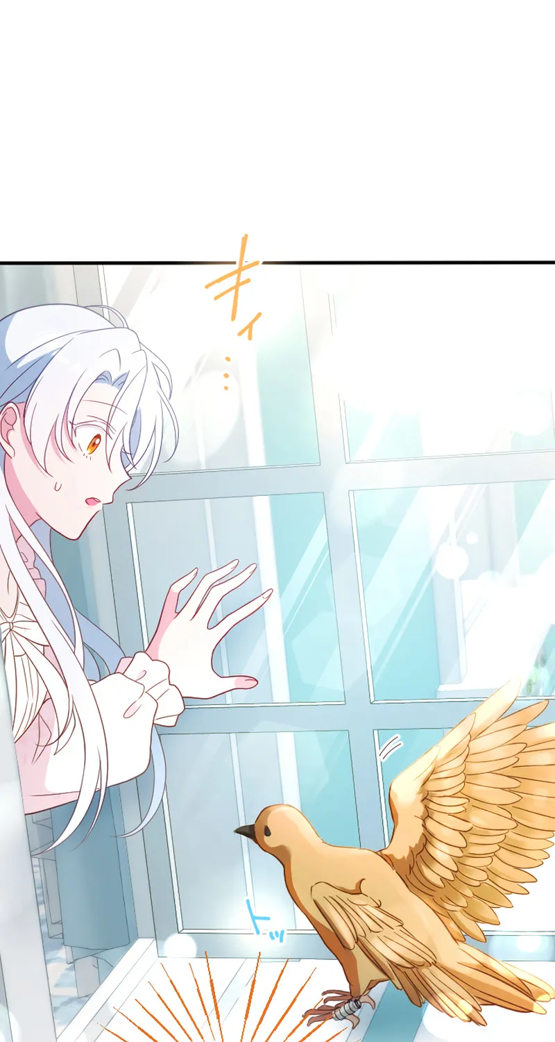 She Was Supposed To Be A Temporary Princess But It Seems She Is Done A Little Too Well Chapter 4 page 37 - 