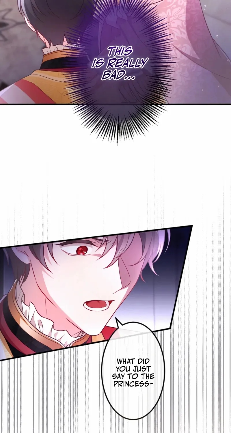 She Was Supposed To Be A Temporary Princess But It Seems She Is Done A Little Too Well Chapter 40 page 42 - 