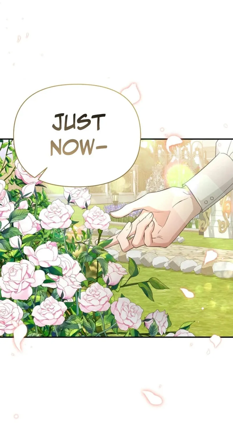 She Wasn