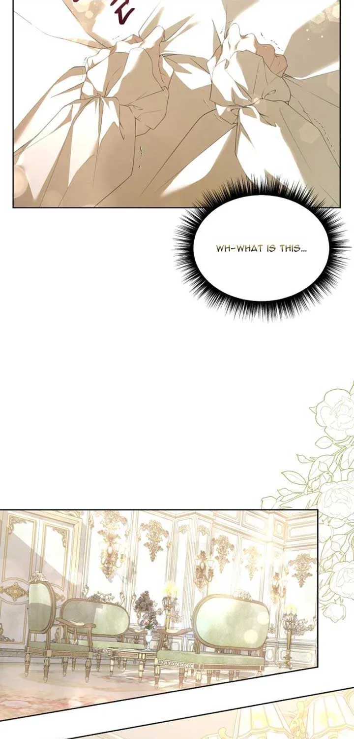 She Wasn’t My Daugther Chapter 2 page 3 - 