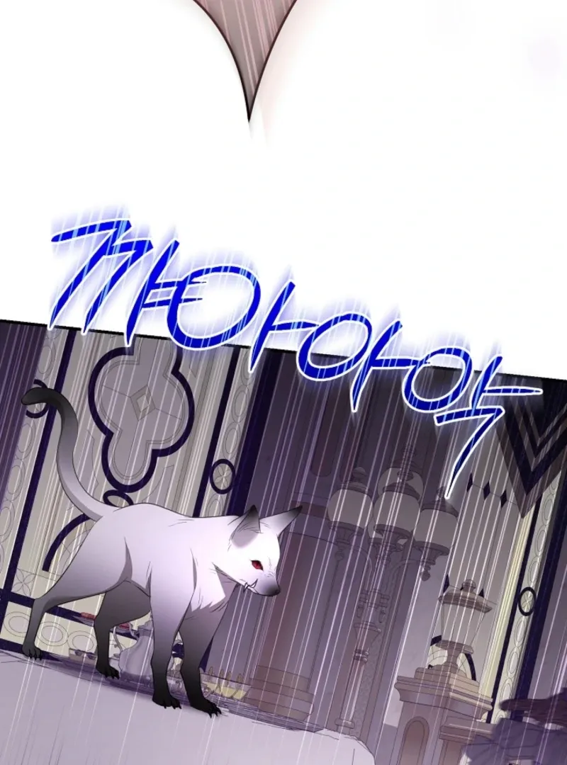She Wasn’t My Daugther Chapter 42 page 11 - 