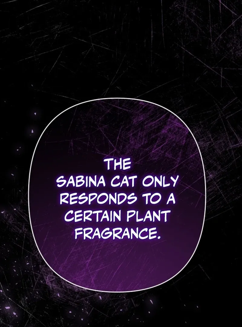 She Wasn’t My Daugther Chapter 42 page 137 - 
