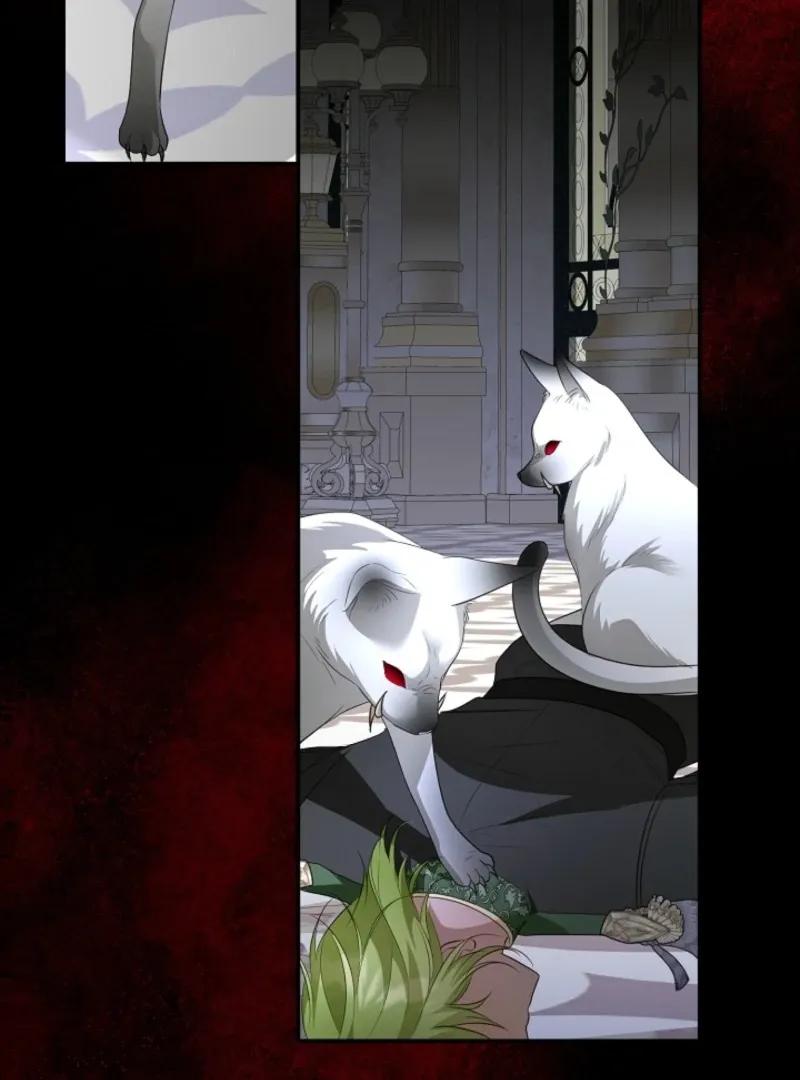 She Wasn’t My Daugther Chapter 42 page 70 - 