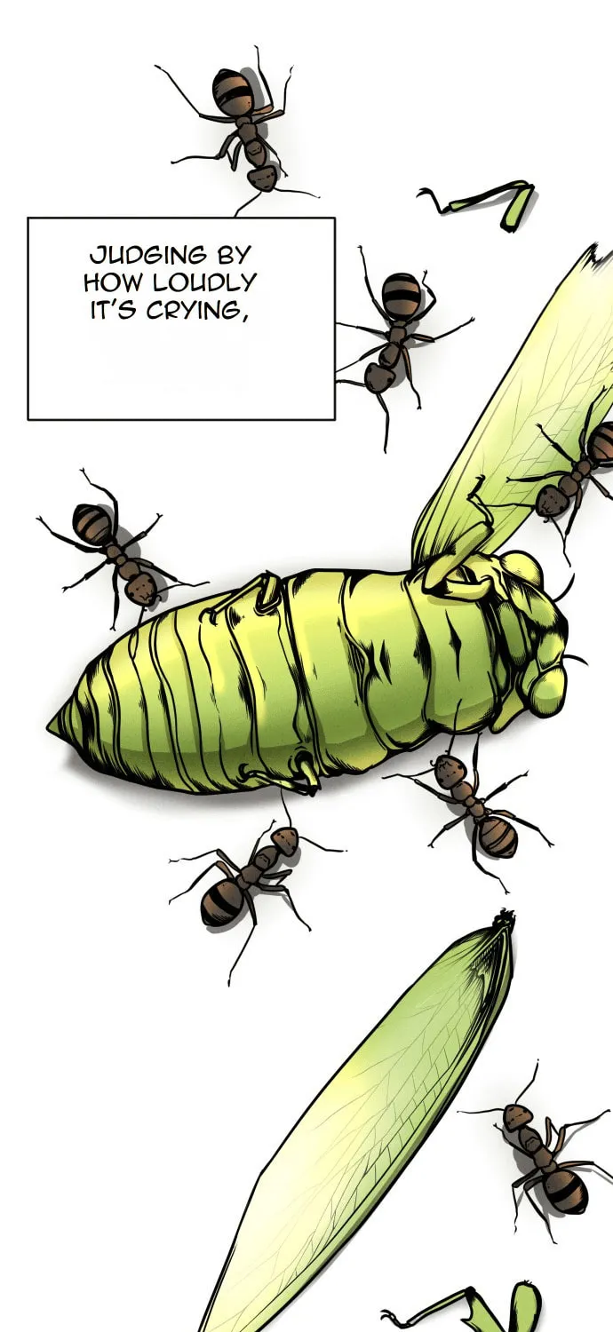 Shell Chapter 1 page 5 - 
