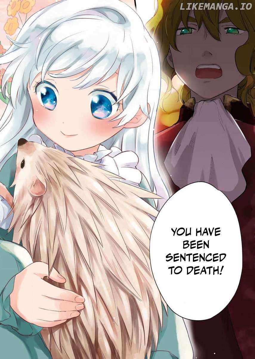 Shi ni Modori Reijou no Karisome Kekkon Chapter 1 page 5 - 