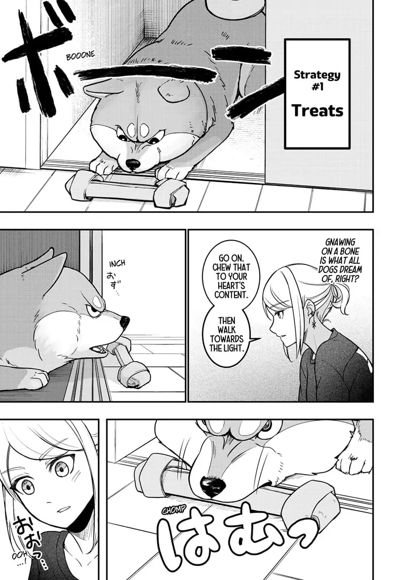 Shiba Inu Rooms Chapter 1 page 33 - 