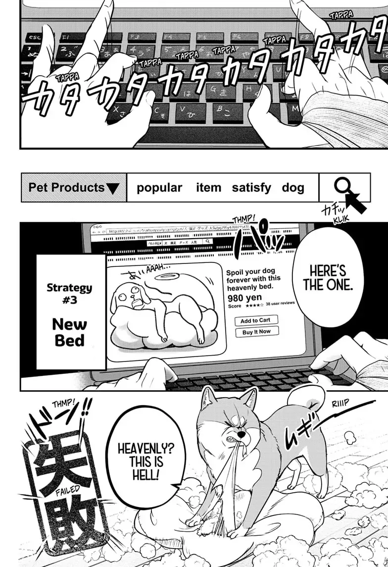 Shiba Inu Rooms Chapter 1 page 36 - 