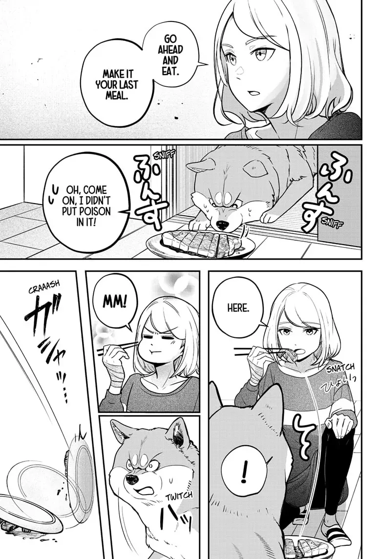 Shiba Inu Rooms Chapter 1 page 41 - 
