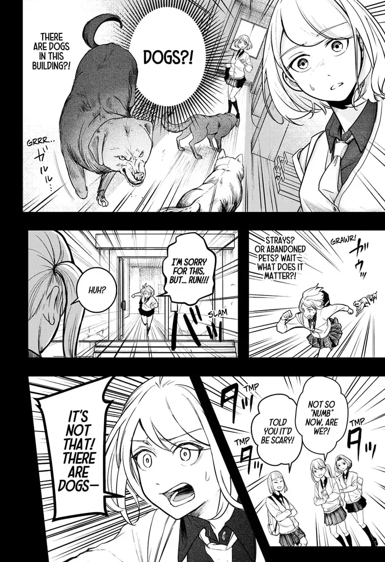 Shiba Inu Rooms Chapter 1 page 56 - 