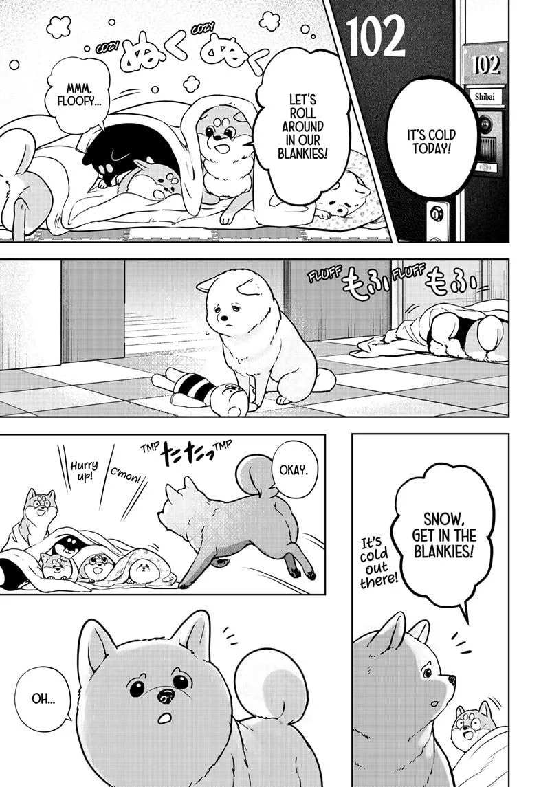 Shiba Inu Rooms Chapter 10 page 20 - 