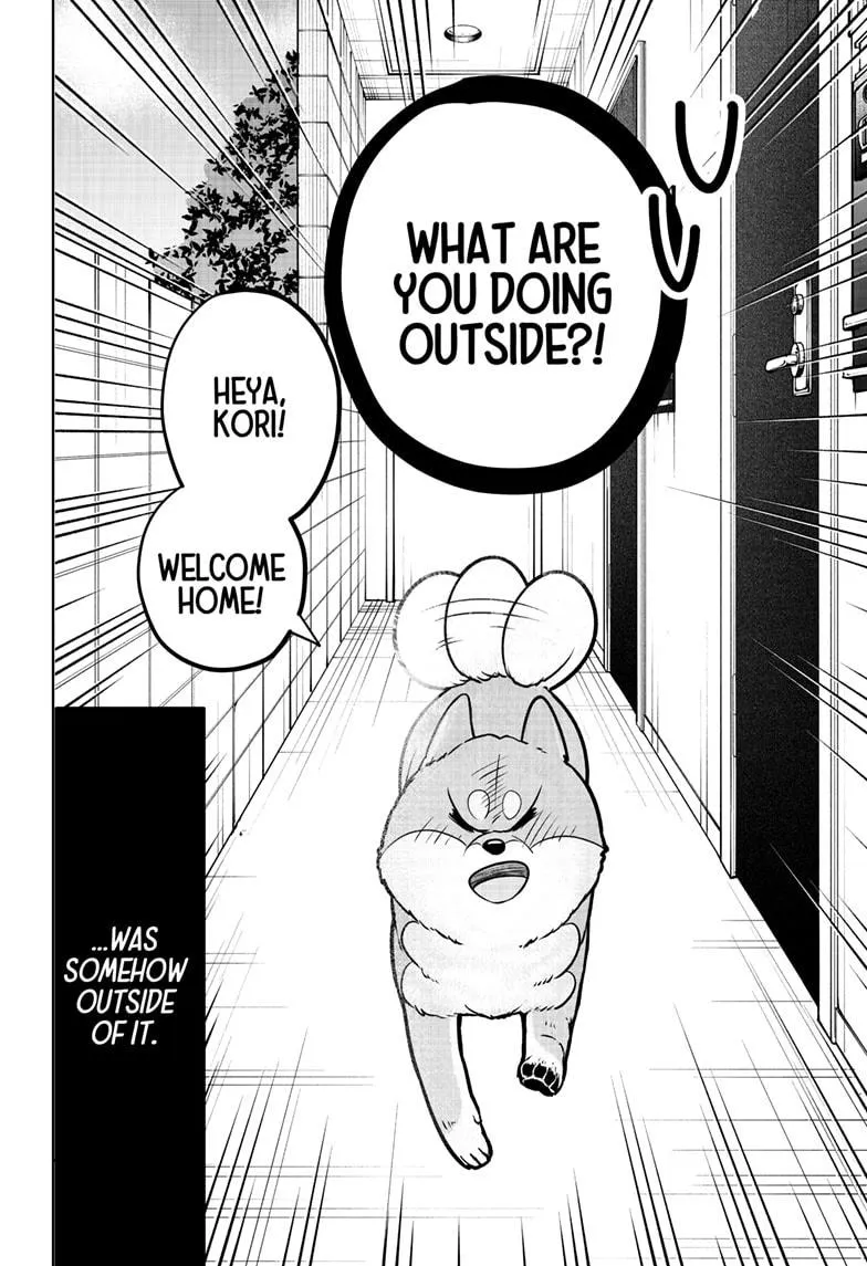 Shiba Inu Rooms Chapter 10 page 3 - 
