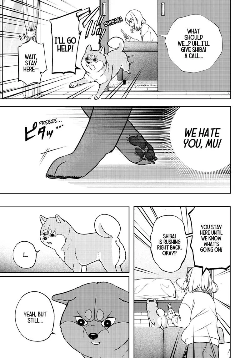 Shiba Inu Rooms Chapter 10 page 22 - 