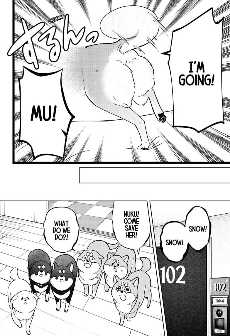 Shiba Inu Rooms Chapter 10 page 23 - 
