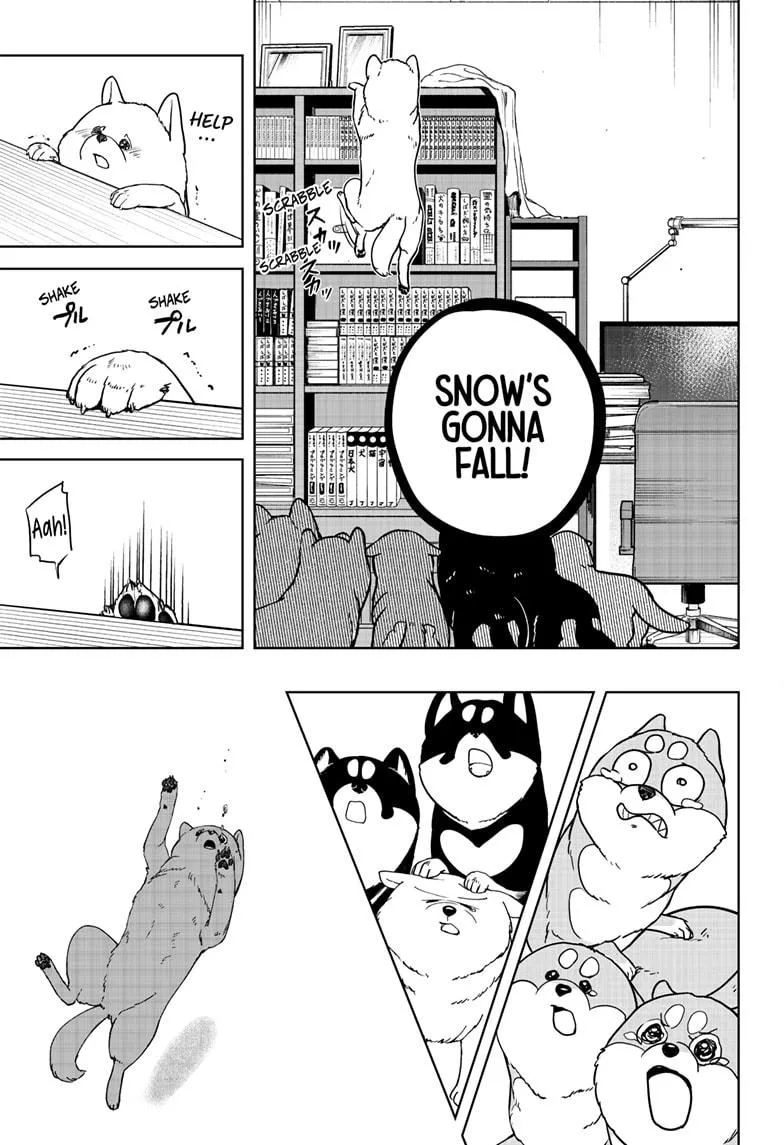 Shiba Inu Rooms Chapter 10 page 24 - 