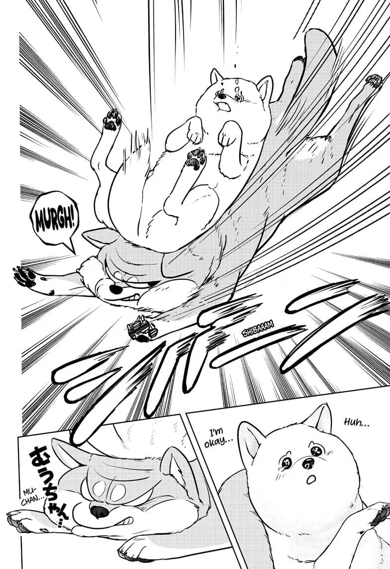 Shiba Inu Rooms Chapter 10 page 25 - 