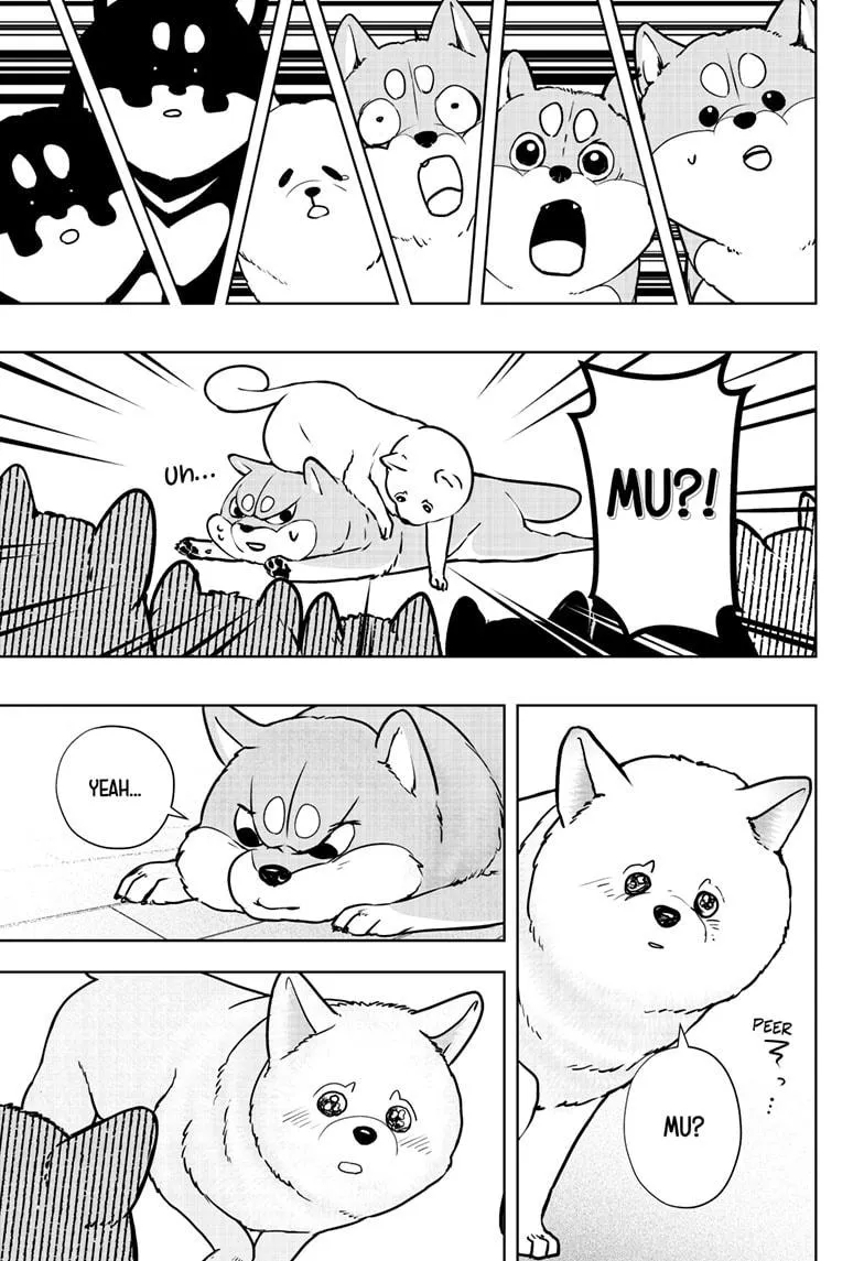 Shiba Inu Rooms Chapter 10 page 26 - 