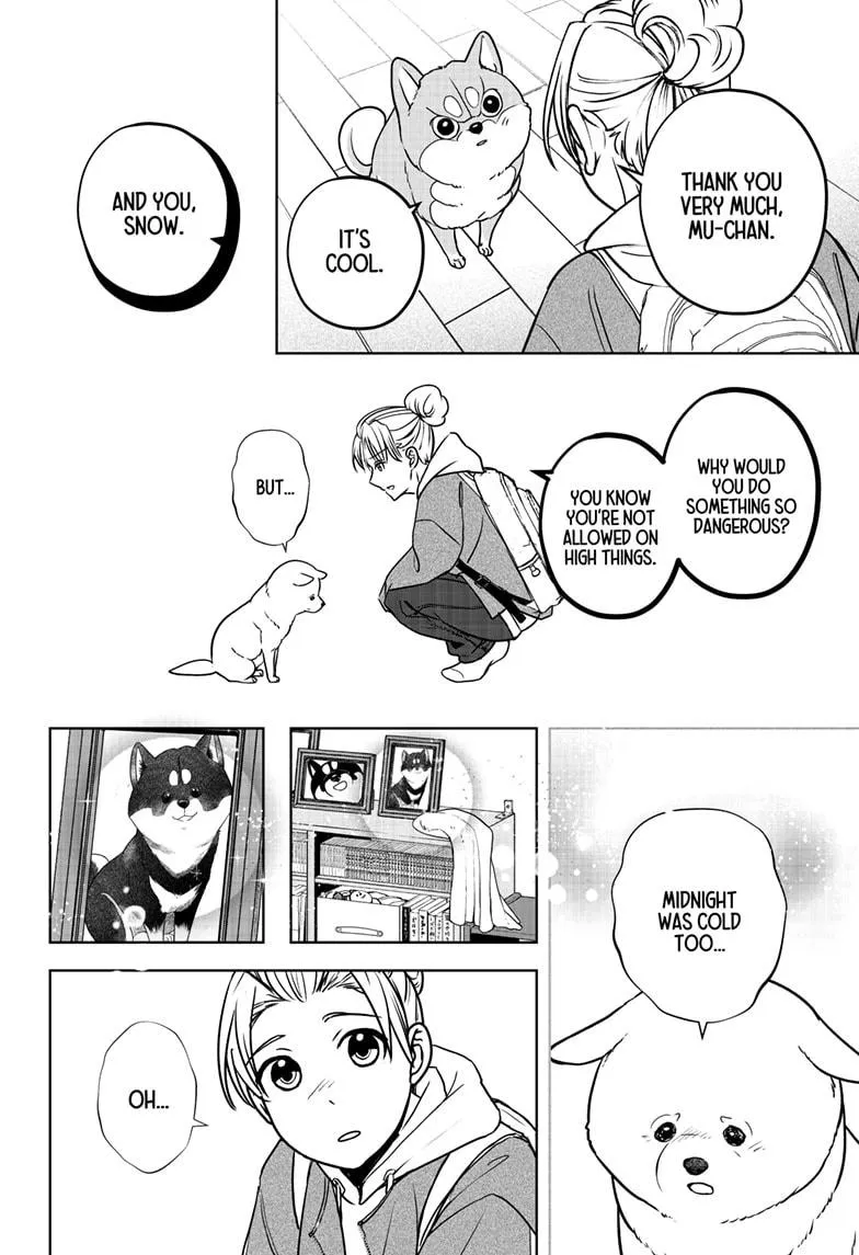Shiba Inu Rooms Chapter 10 page 29 - 
