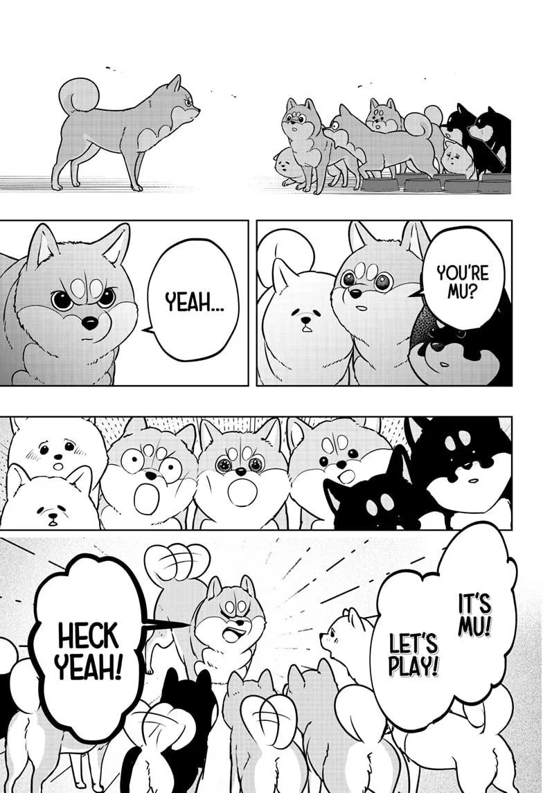 Shiba Inu Rooms Chapter 10 page 10 - 